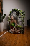 EllaDavenport_241211-216