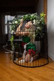 EllaDavenport_241211-159