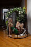 EllaDavenport_241211-167
