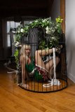 EllaDavenport_241211-168