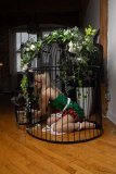 EllaDavenport_241211-190