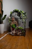 EllaDavenport_241211-216