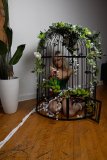 EllaDavenport_241211-222