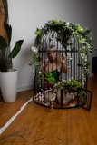 EllaDavenport_241211-223
