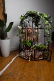 EllaDavenport_241211-224