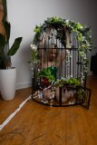 EllaDavenport_241211-225