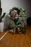 EllaDavenport_241211-229
