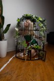 EllaDavenport_241211-230