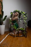 EllaDavenport_241211-232