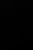JuJu_251117-1447