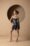 Viktory_260727-115