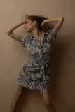 Viktory_260727-220