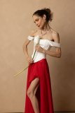 Viktory_260727-541